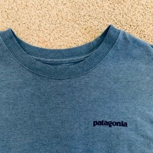 Patagonia Graphic Tee